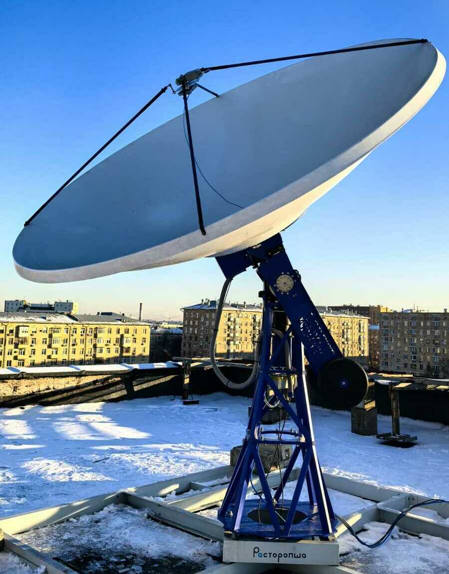 <span style="font-weight: bold;">Расторопша</span>